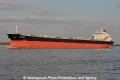 Jiu Long Feng TL-050412-2.jpg