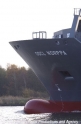 OOCL Norppa Bug 21103-3.jpg