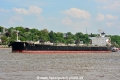 Star Angelina (KB-D110516-01).jpg