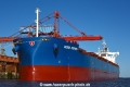 Nord Gemini 081017-03.jpg