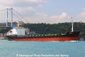 Diddle (OK-300512-0).jpg