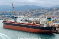 Coal Pearl (LW-250316-01).jpg