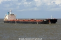 Golden Brilliant JG-090816-01.jpg